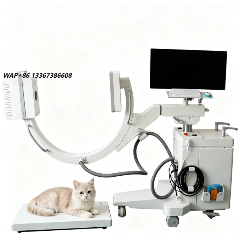 Veterinary X-Ray - Appareil de radioscopie médicale à arceau