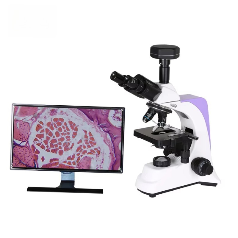 Medical Laboratory Scientist - Microscope biologique numérique de laboratoire médical